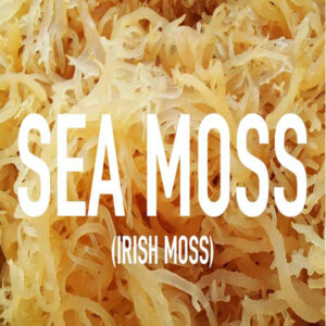 Irish Sea Moss